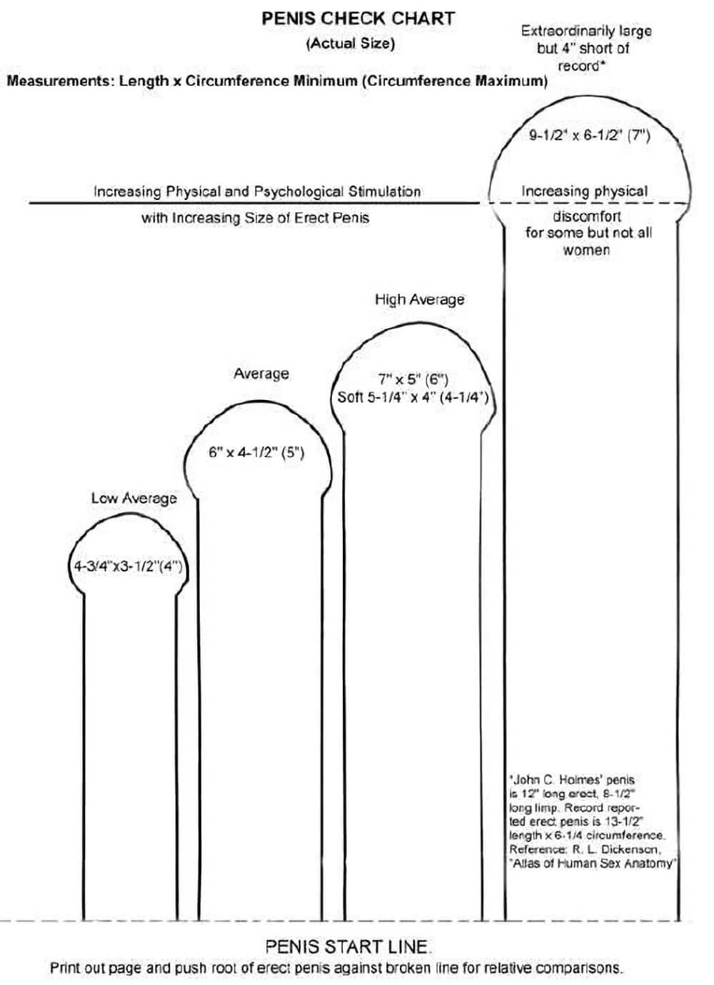 Average Penis Size And Length Chart SexualDiversity Org